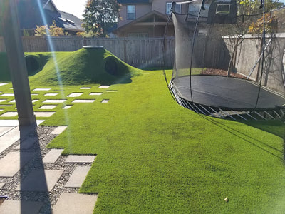 backyard lawn care, lawn maintenance, lawn cleanup