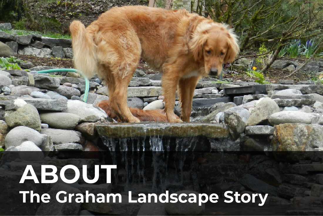About Graham Landscape and Design