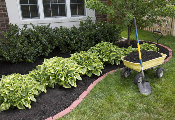 mulch in planter bed