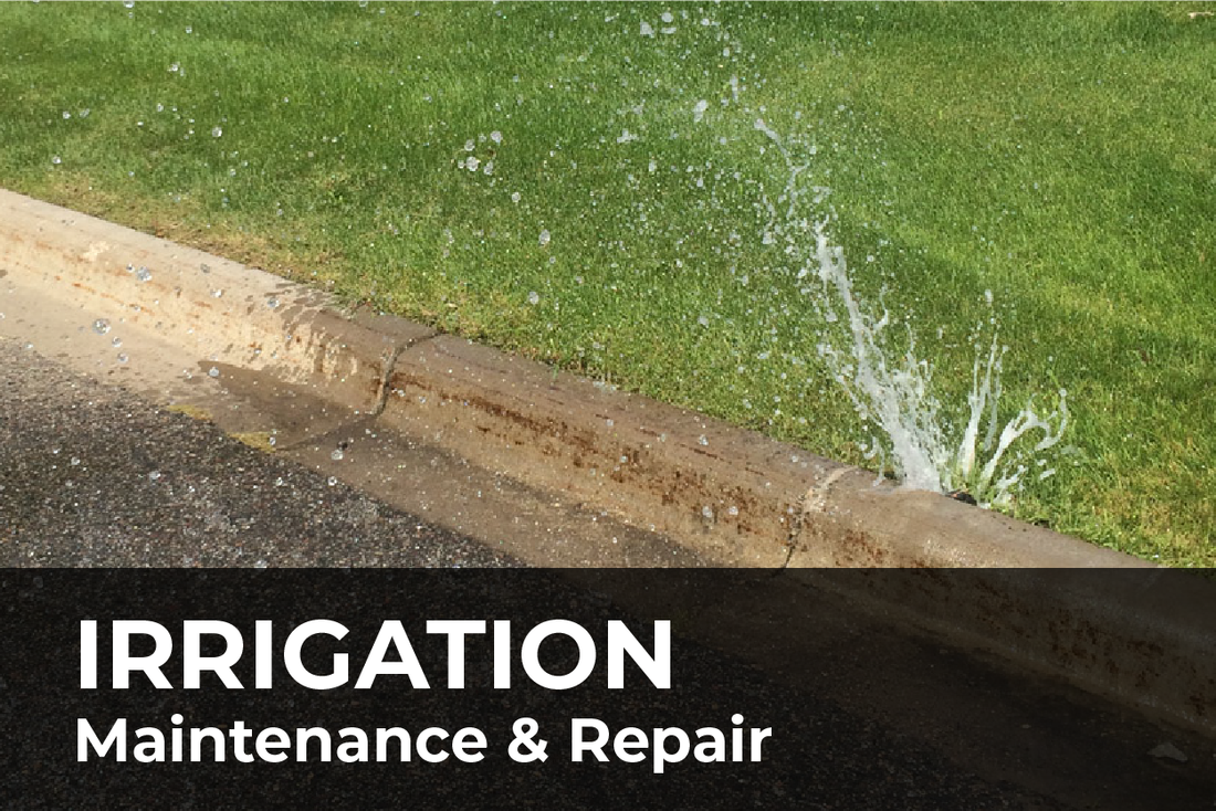 Irrigation Maintenance and Repair
