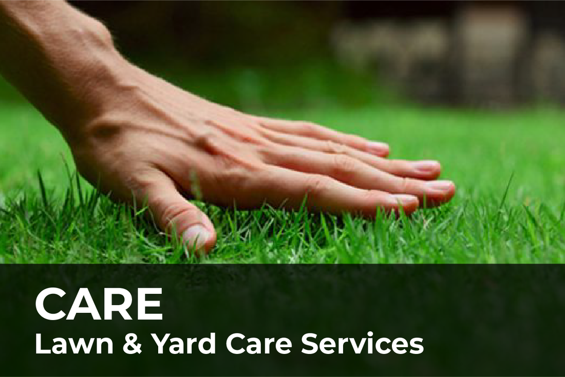 Lawn and Yard Care Services