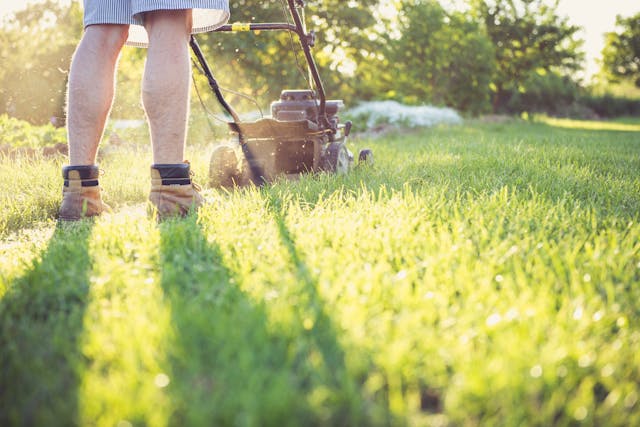 Picture of a man mowing a lawn