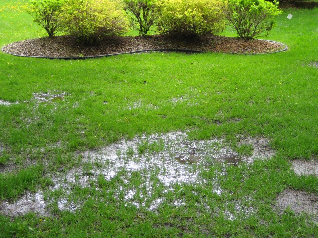 standing water, poor lawn drainage